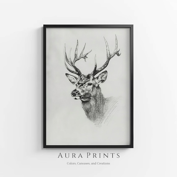 Majestic Deer Sketch Nature Art Vintage Wall Decor Gift 0939