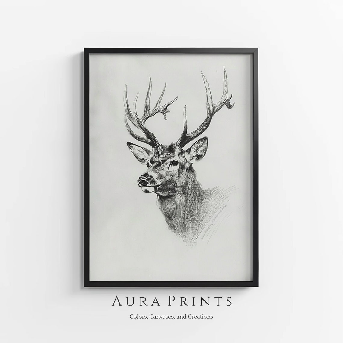 Majestic Stag Sketch Antlers Charcoal Wildlife Portrait Wall Art