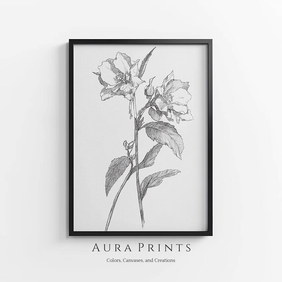Minimalist Black White Flower Botanical Line Drawing Art Poster