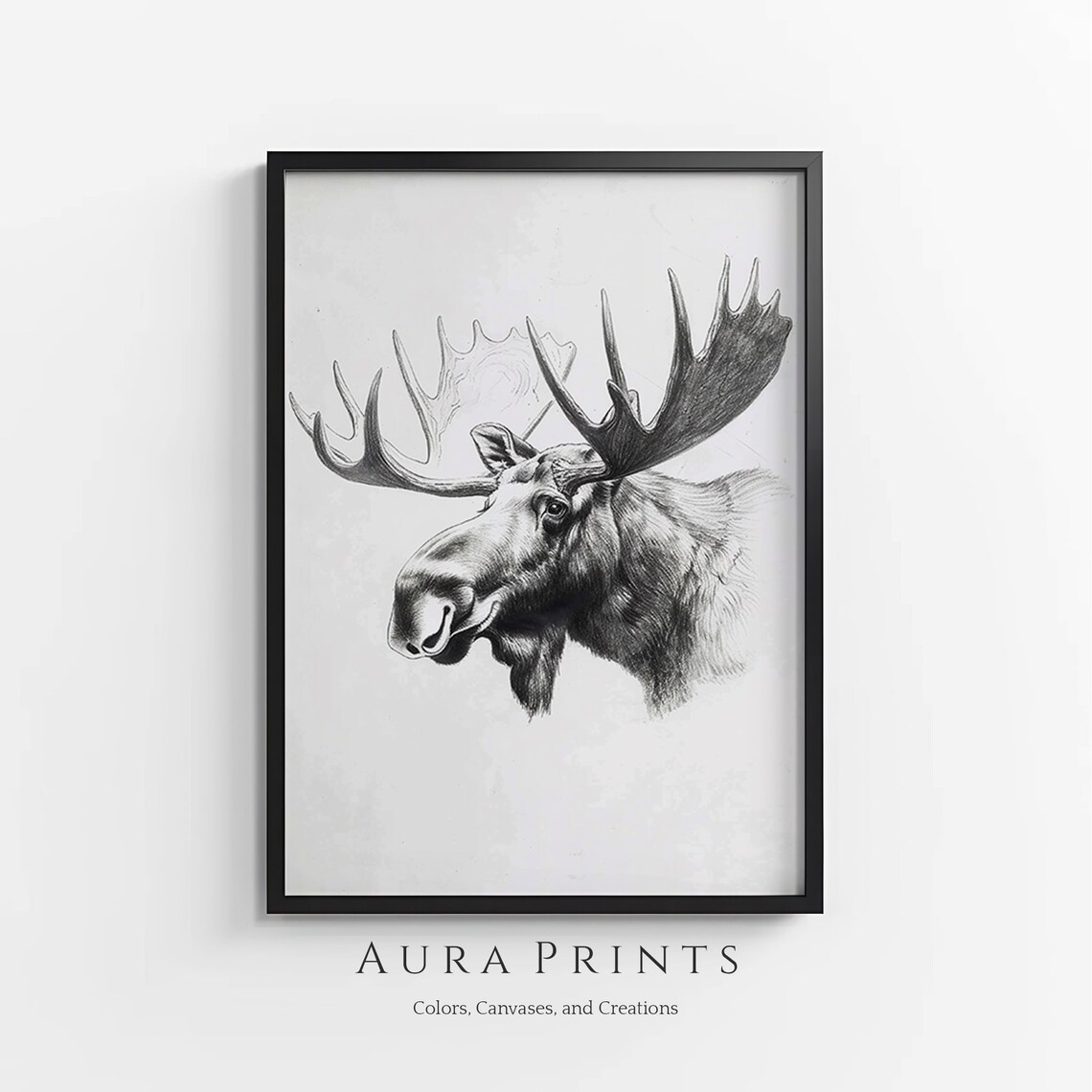 Proud Moose Portrait Pencil Sketch Wildlife Antlers Drawing Poster