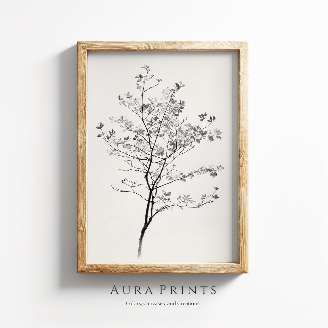 Delicate Tree Branch Black and White Pencil Sketch Botanical Poster
