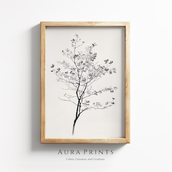 Delicate Tree Branch Black and White Pencil Sketch Botanical Poster