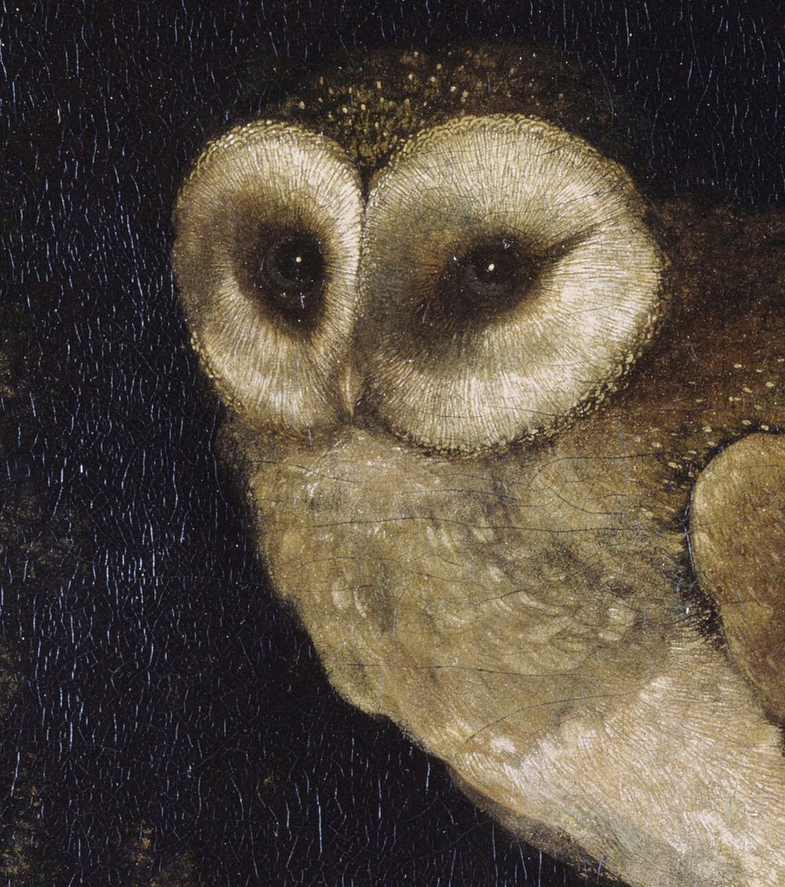 Moody Owl Vintage Style Wall Art, Halloween Decor - Image 2