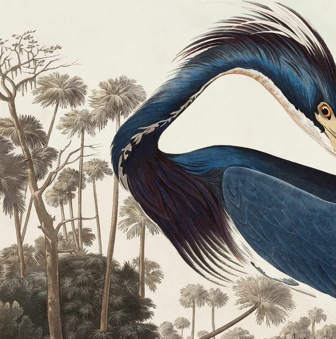 Vintage Blue Heron Artwork, Navy Bird Art Print - Image 2