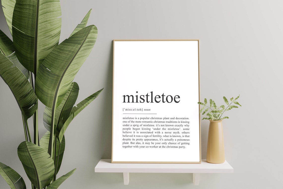 Mistletoe Definition Funny Christmas Typography Decor Art Poster - Image 2