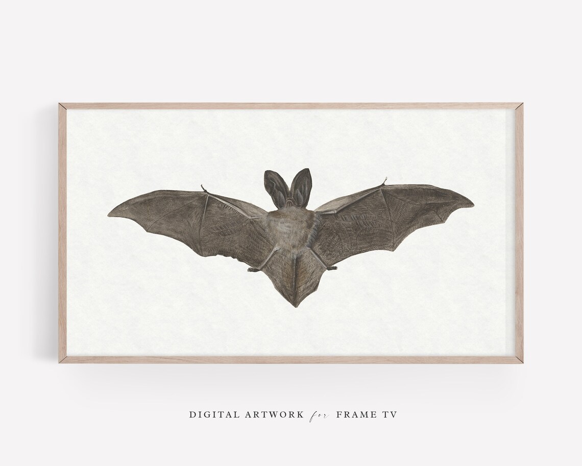 Halloween Bat Spooky Wall Art For Frame TV