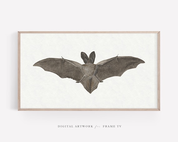 Halloween Bat Spooky Wall Art For Frame TV