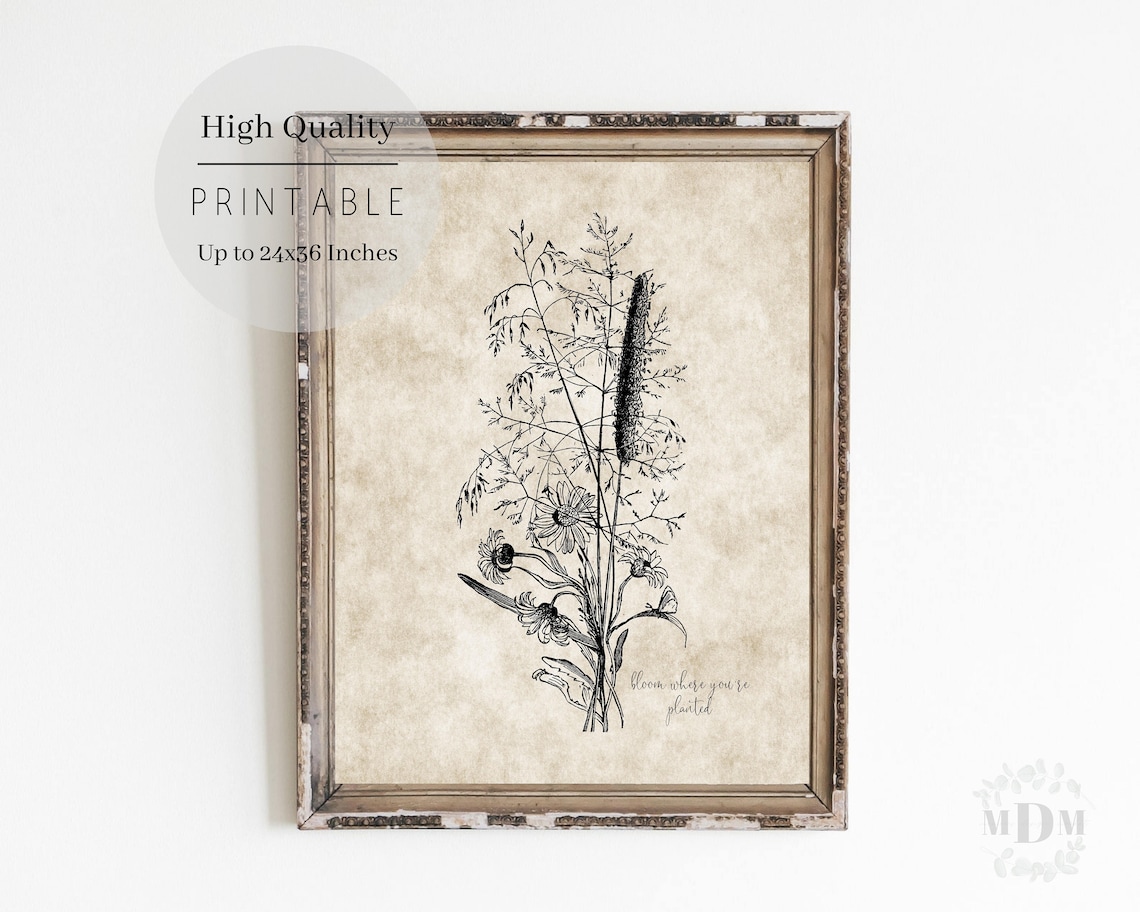 Vintage Wildflower Botanical Illustration Bloom Where Youre Planted Print