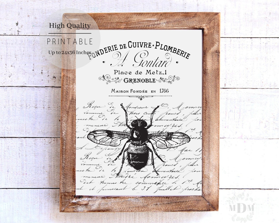 Black Bee French Script Typography Vintage Grenoble Black White Poster - Image 3