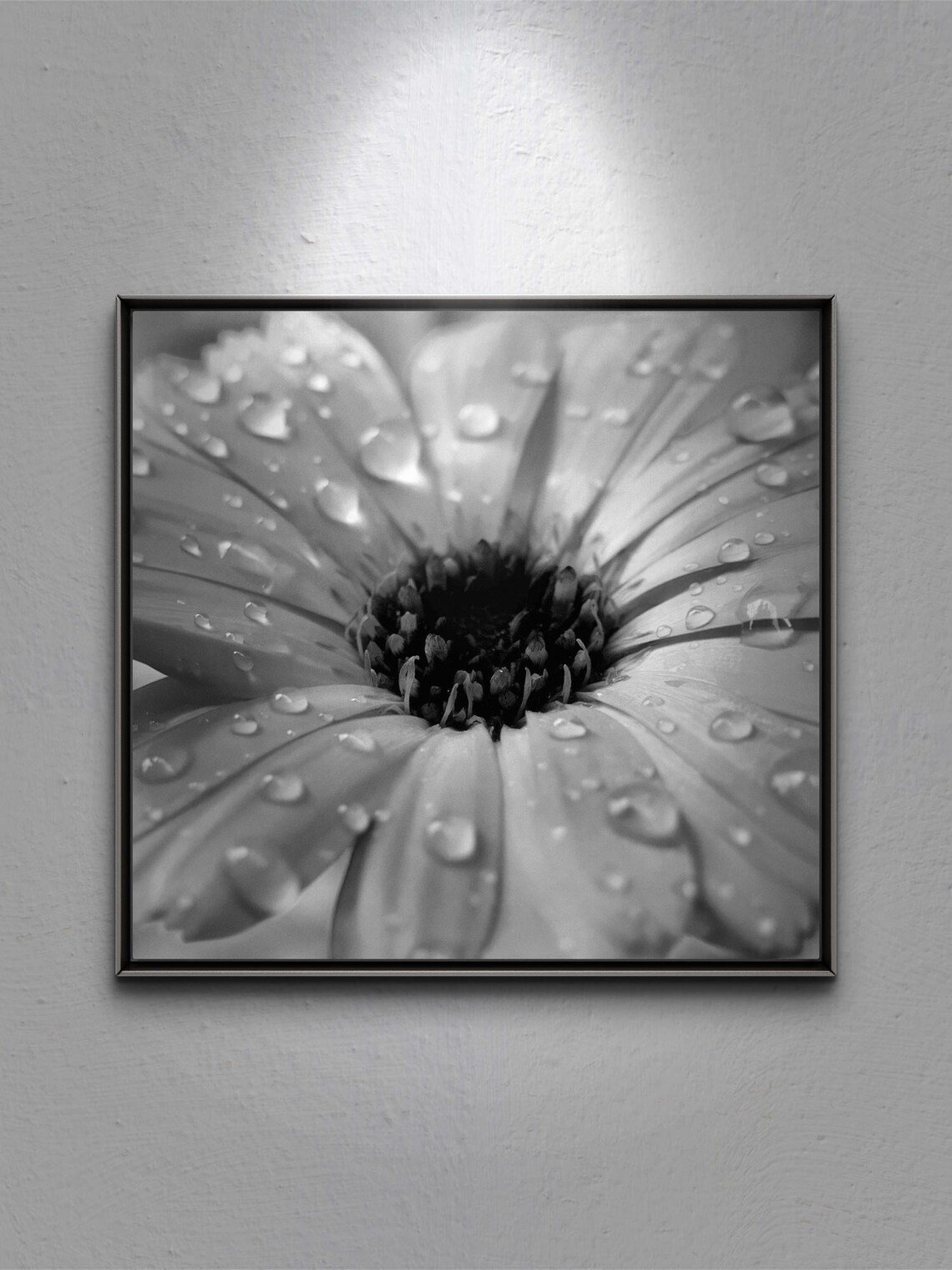 Black And White Flower Close-Up, Elegant Floral Art - Image 2