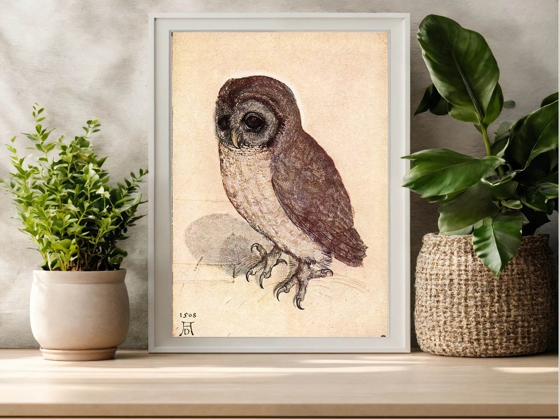 Albrecht Durer Little Owl 1508 Drawing Renaissance Vintage Print
