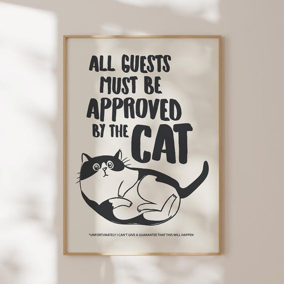 Funny Cat Doing Things Typography Poster