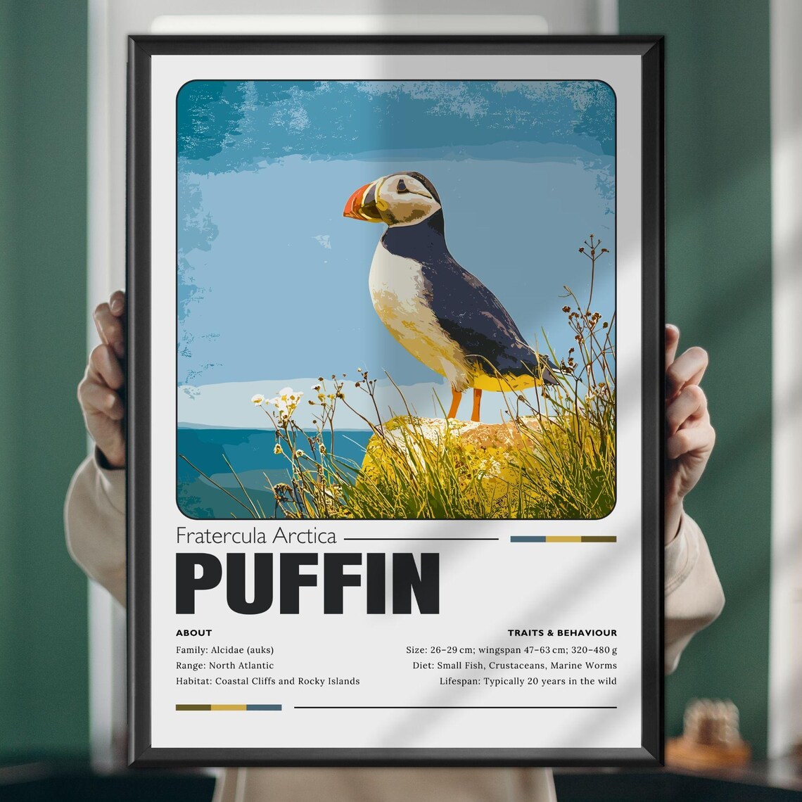 Puffin Painting Poster, Coastal Seabird Art Print