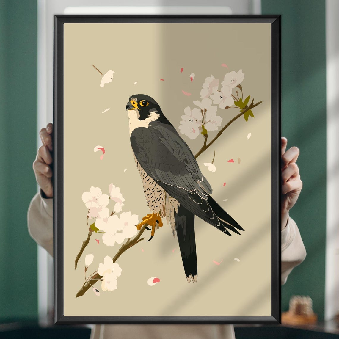Peregrine Falcon on Cherry Blossom Branch Wildlife Art Poster