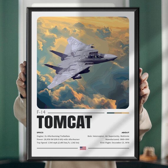 F-14 Tomcat Navy Fighter Jet Swept Wings Golden Clouds Poster