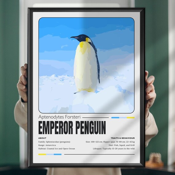 Emperor Penguin Antarctic Wildlife Art Wall Print Bird Poster For Nature Lovers Polar Animal Illustration Cold Climate Decor