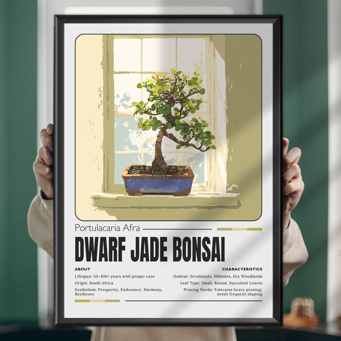 Dwarf Jade Bonsai Print Botanical Tree Poster Zen Wall Art Minimal Nature Decor Elegant Plant Gift For Home