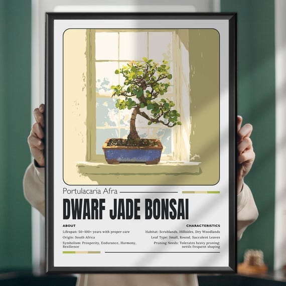 Dwarf Jade Bonsai Print Botanical Tree Poster Zen Wall Art Minimal Nature Decor Elegant Plant Gift For Home