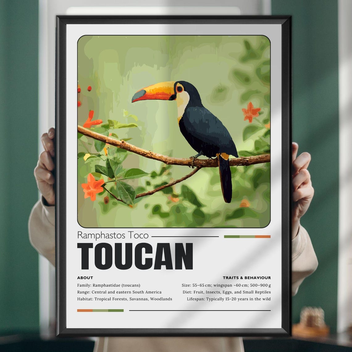 Toco Toucan Ramphastos Wildlife Facts Educational Art Poster