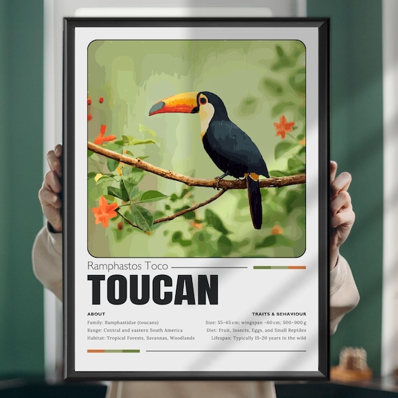 Toco Toucan Ramphastos Wildlife Facts Educational Art Poster