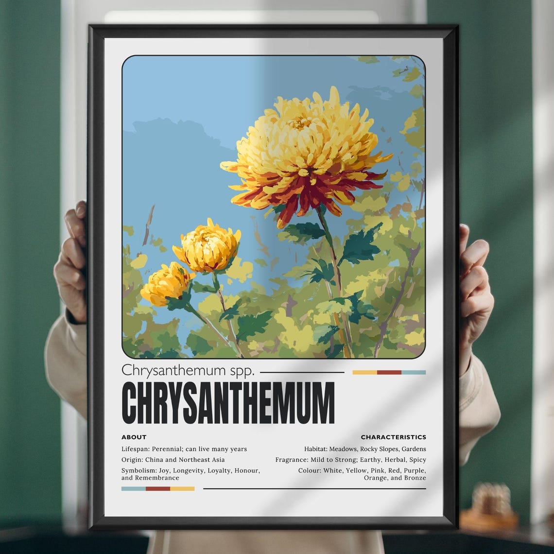 Yellow Chrysanthemum Botanical Flower Facts Decorative Poster