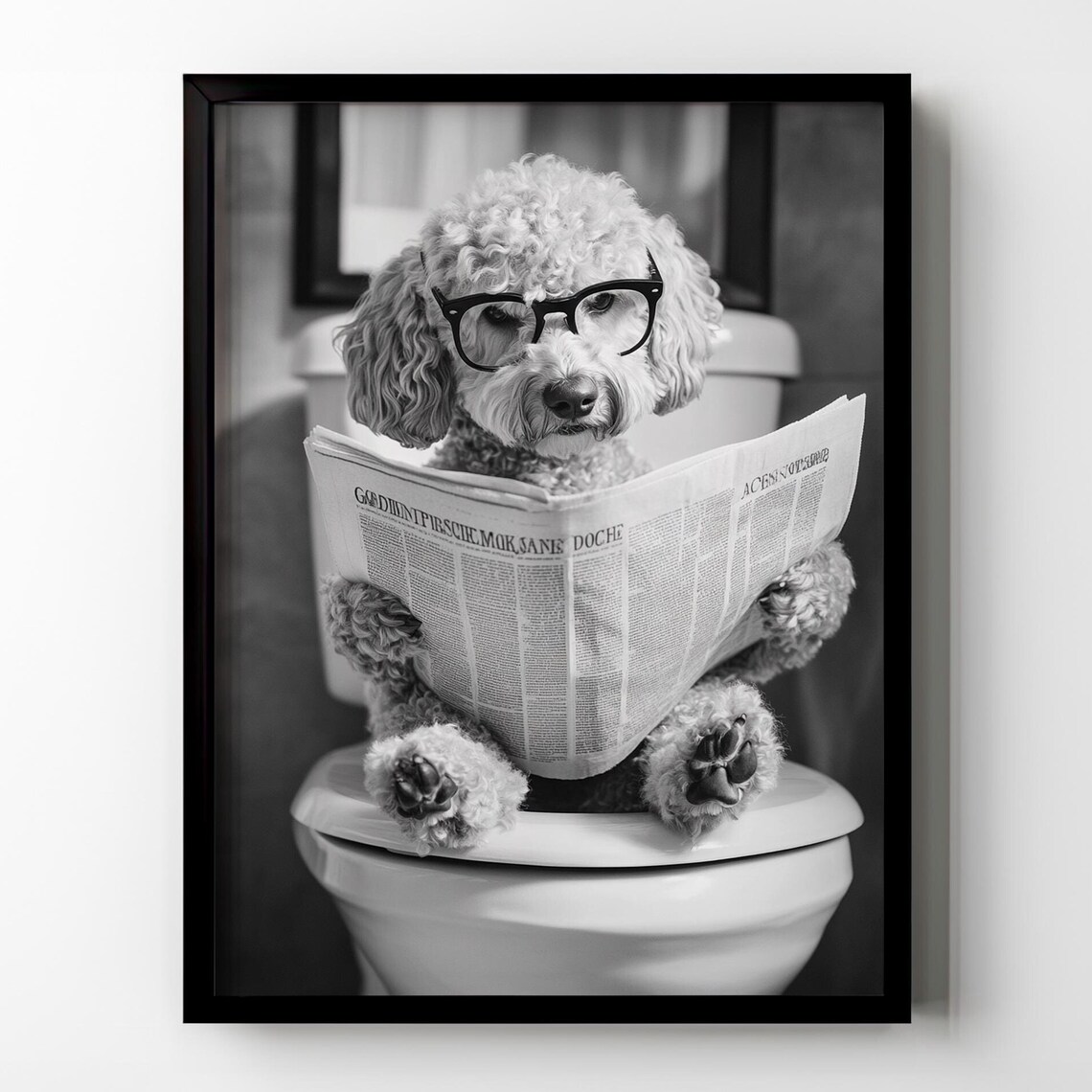 Poodle Wearing Glasses Reading Newspaper on Toilet Black White Poster