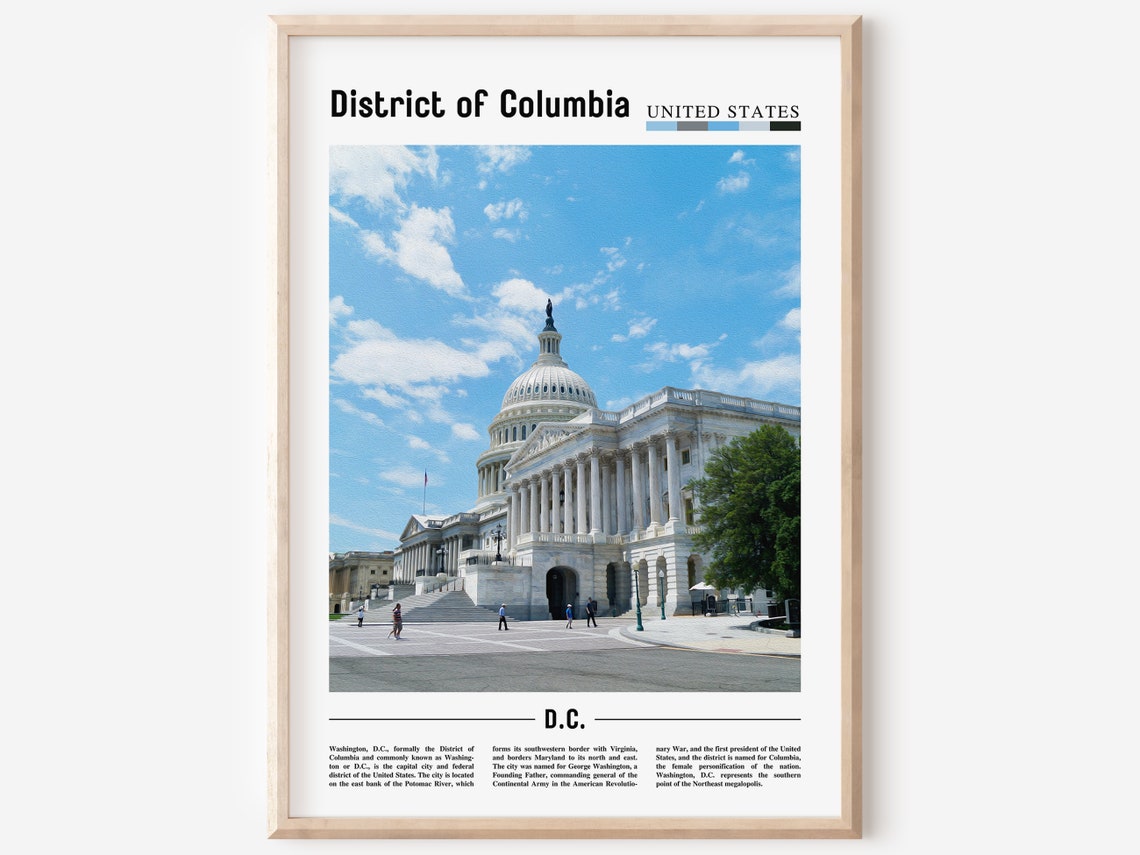 District Of Columbia Poster District Of Columbia Print District Of Columbia Wall Art Minimal Travel Print Oil Painting Poster