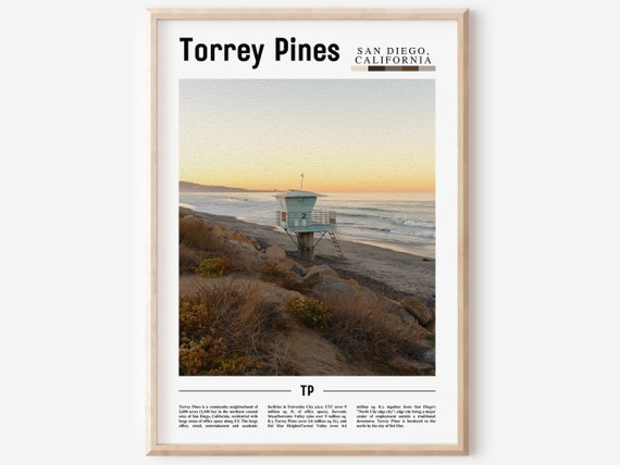 Torrey Pines Print Torrey Pines Poster Torrey Pines Wall Art Minimal Travel Print Minimal City Poster Destination Oil Painting Poster