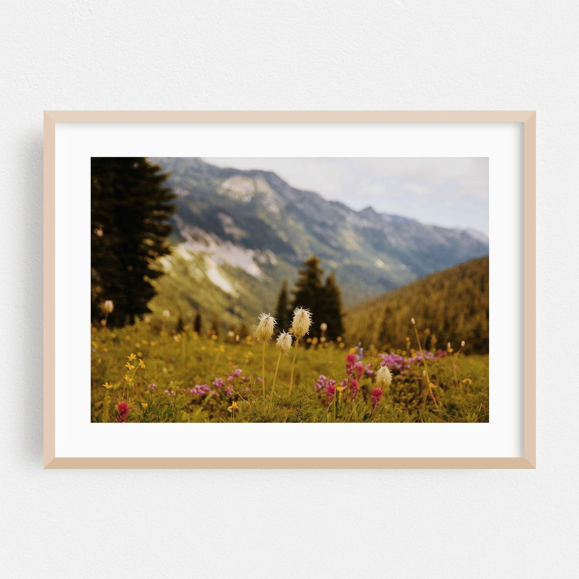 Washington Mountain Wildflower Meadow Summer Photography Poster
