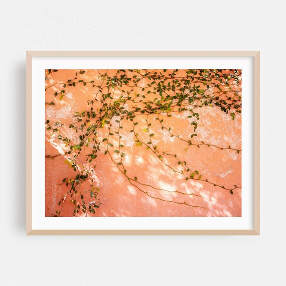 Green Ivy Vines Coral Plaster Wall Botanical Minimalist Photography Poster