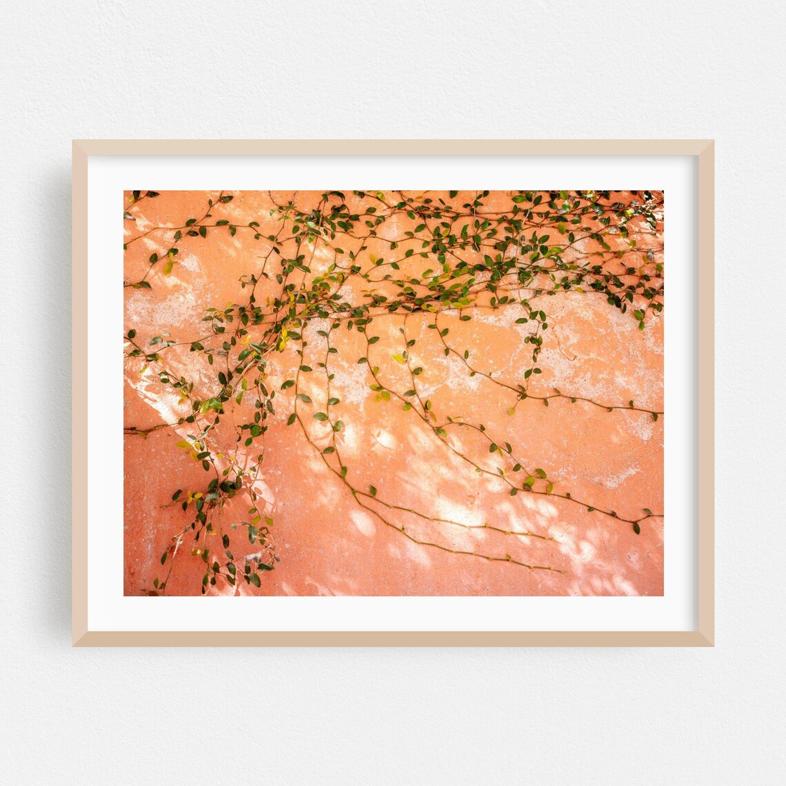 Green Ivy Vines Coral Plaster Wall Botanical Minimalist Photography Poster