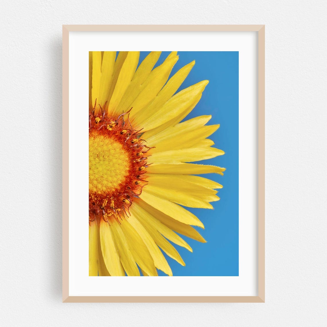 Yellow Sunflower Macro Photography Close-Up Against Blue Sky Poster