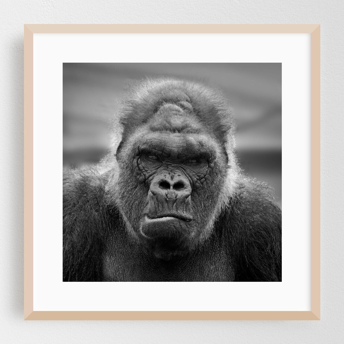 Gorilla Black And White Portrait Fine Art Wildlife Photography Poster