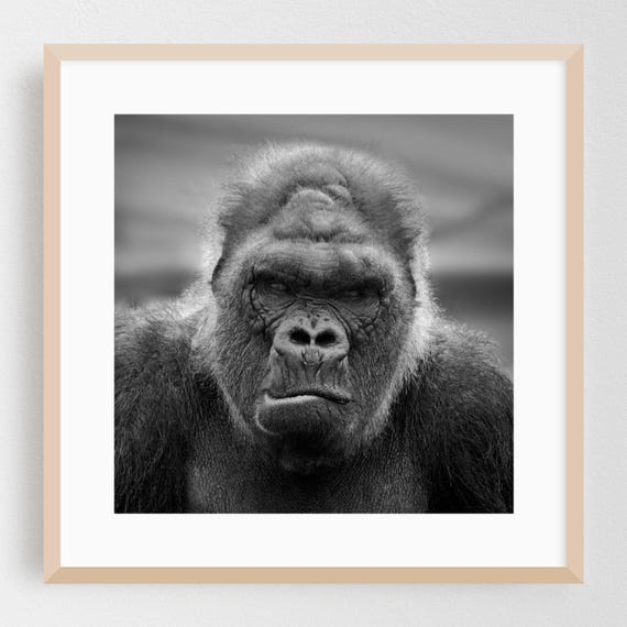 Wildlife Print Black And White Wall Art Animal Framed Portrait Home Decor Nature Poster Jungle Fine Moody Photography