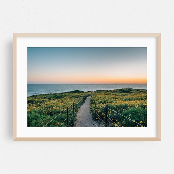 Coastal Sunset Wildflower Path Leading To The Ocean Photo Poster