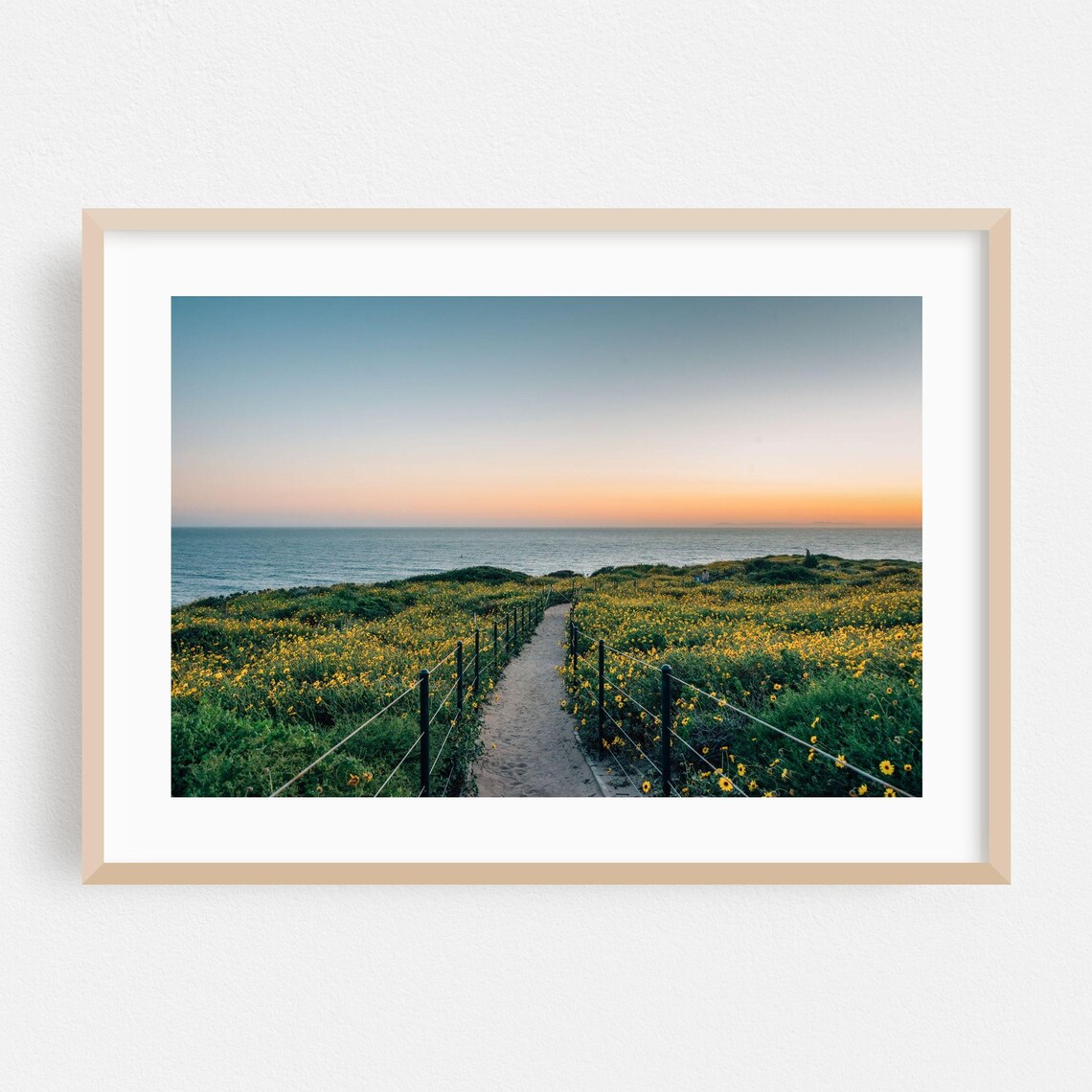 Coastal Sunset Wildflower Path Leading To The Ocean Photo Poster