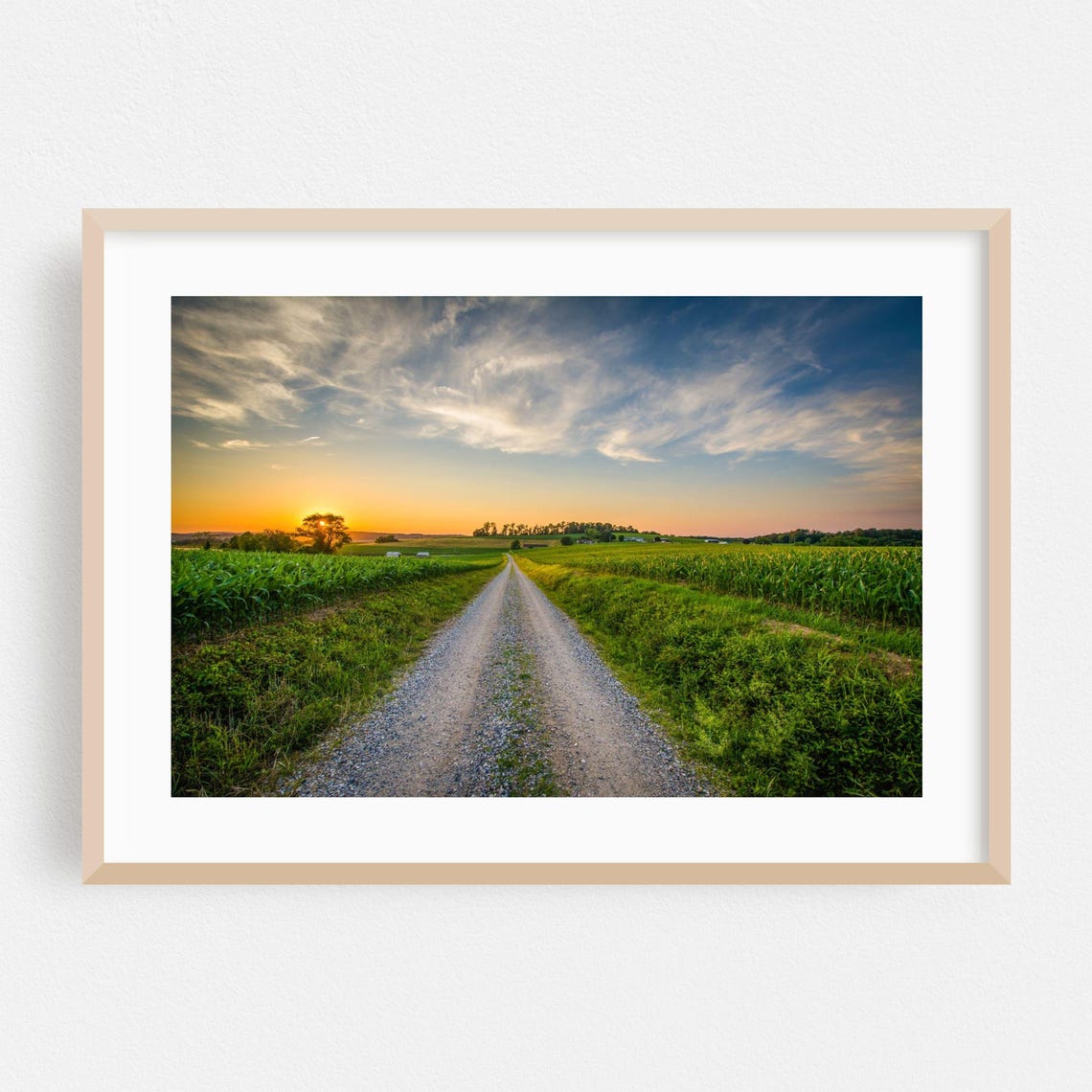 Golden Sunset Over Country Road Green Fields Evening Sky Poster