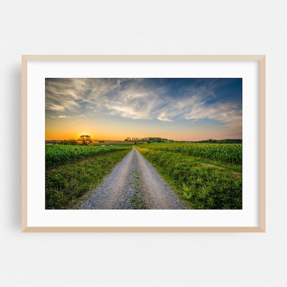 Golden Sunset Over Country Road Green Fields Evening Sky Poster