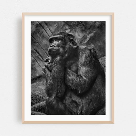 Black And White Print Wildlife Wall Art Animal Framed Portrait Home Decor Nature Poster Moody Fine Jungle Photography