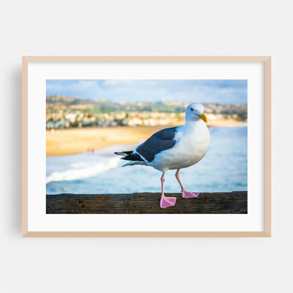 Seagull Perched On Pier Rail Newport Beach Coastline Photo Print