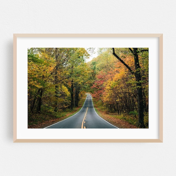 Autumn Forest Road Peak Fall Foliage Tunnel Scenic Drive Poster