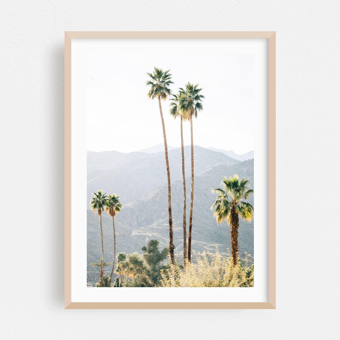 Palm Springs Desert Palm Trees Mountain Photography Art Wall Poster