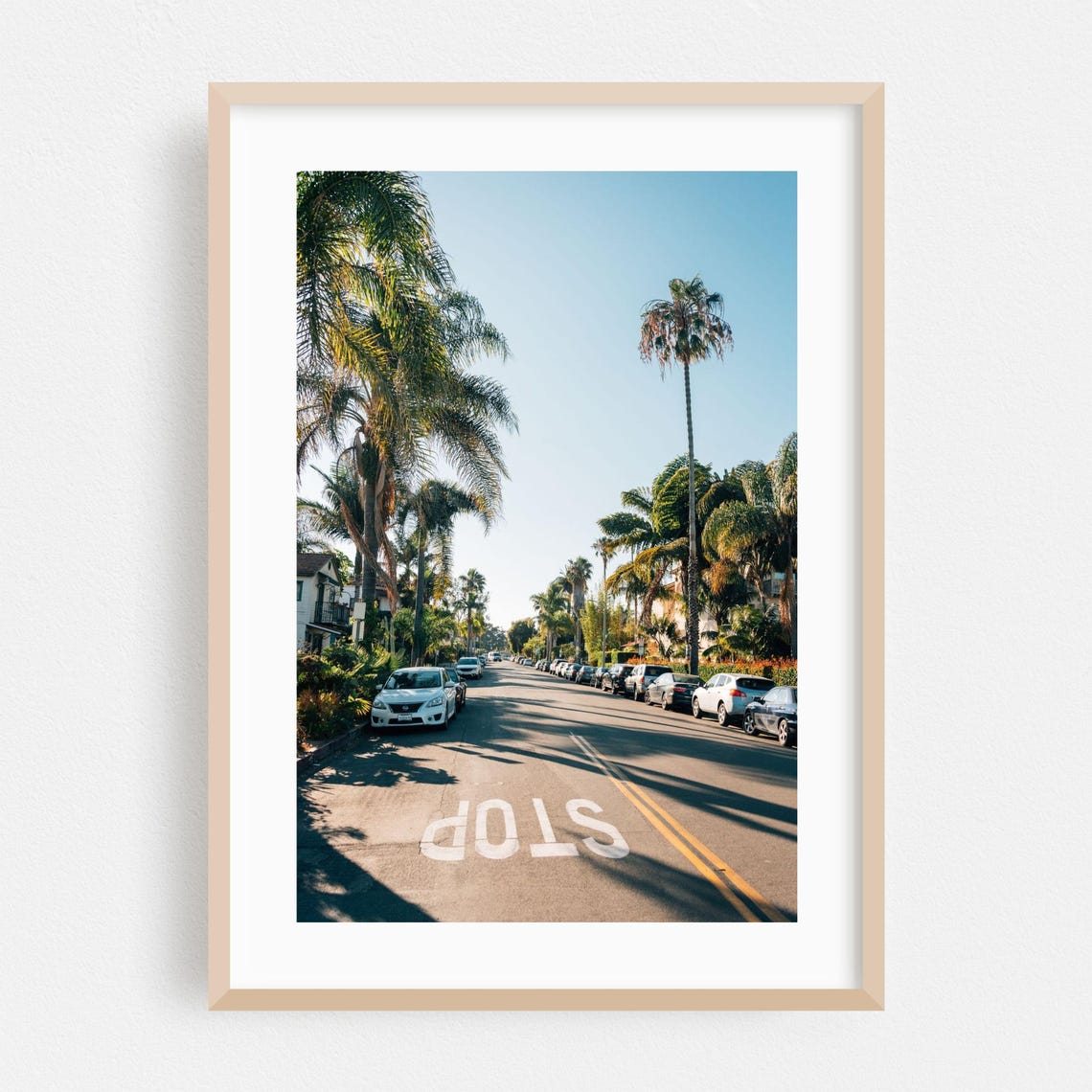 Sunny Palm Tree Lined Summer Street Parked Cars Photo Poster