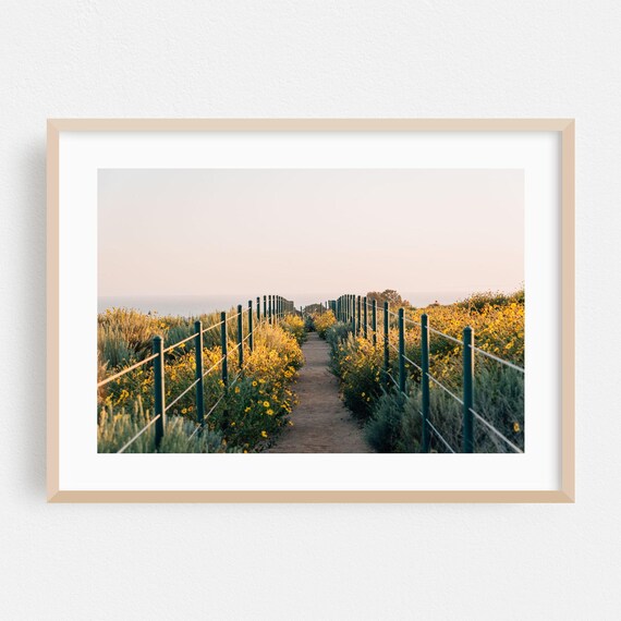 Wildflower Path to the Sea at Dusk Coastal Nature Photo Poster