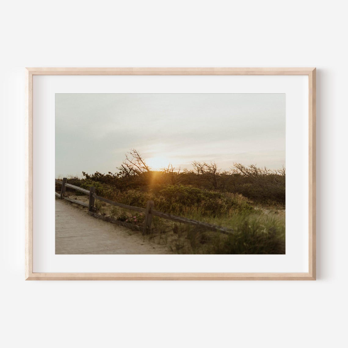 Sunlit Boardwalk Path Winding Through Coastal Dune Grass Poster