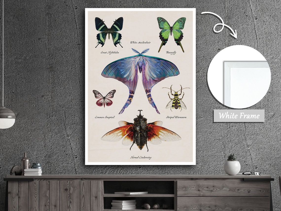 Butterfly Art, Modern Insect Decor - Image 4