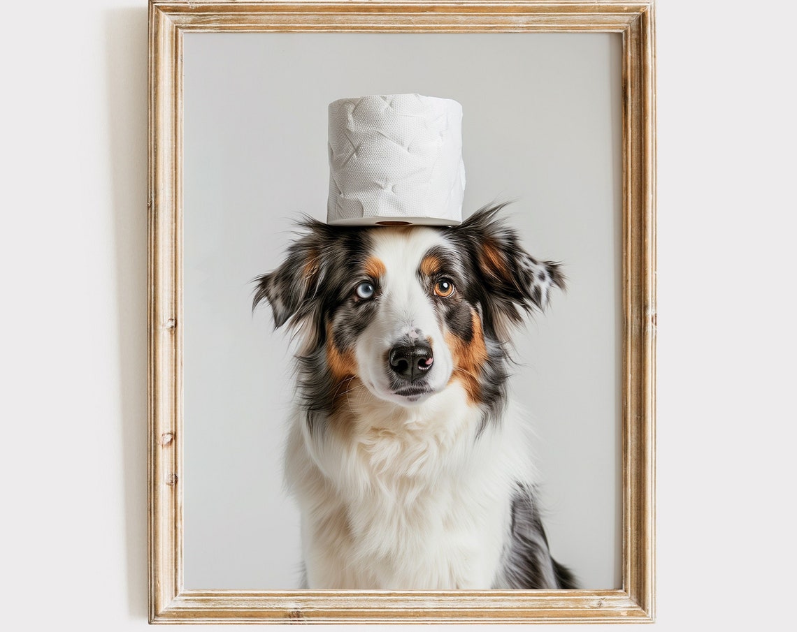 Australian Shepherd Toilet Paper Roll Hat Funny Colorful Dog Poster