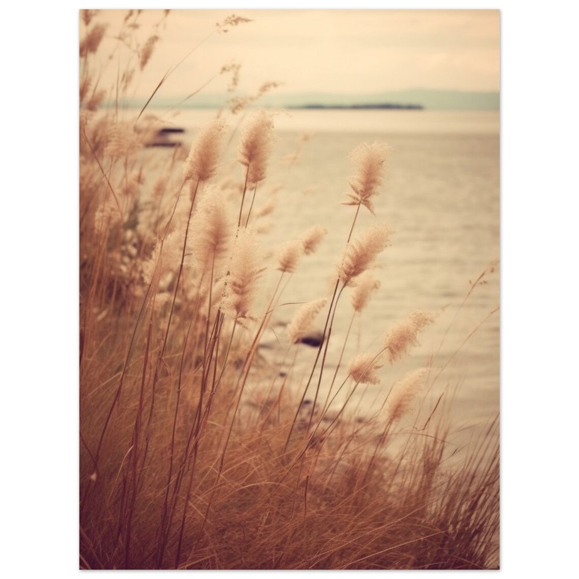 Nature Picture Dune Grass 2 Poster On Matte Premium Paper Decoration Wall Decoration - Image 2