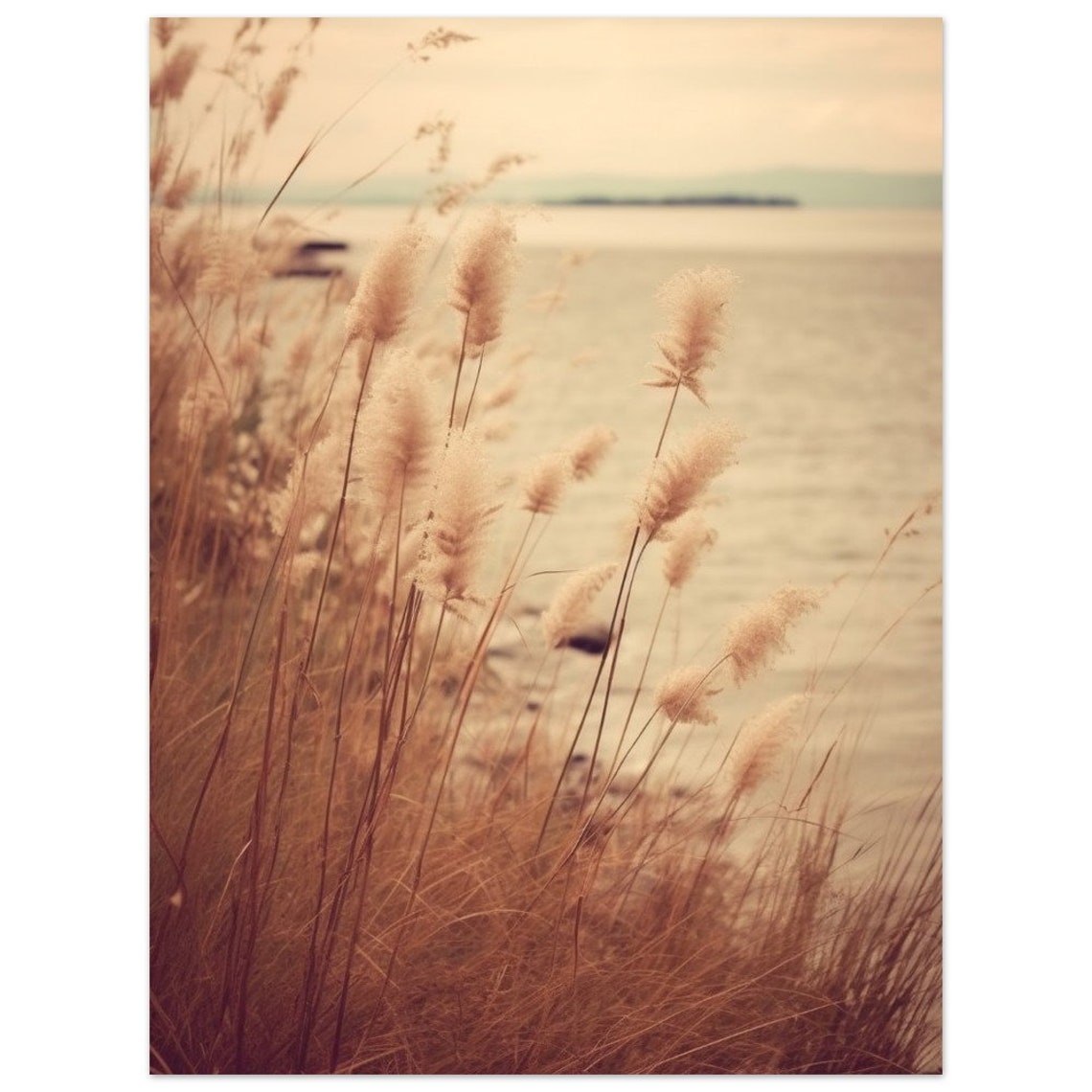 Soft Golden Dune Grass By The Beach At Sunset Warm Light Poster - Image 2