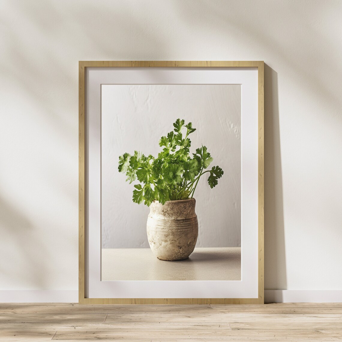Fresh Parsley Bunch Rustic Clay Pot Minimalist White Art Poster